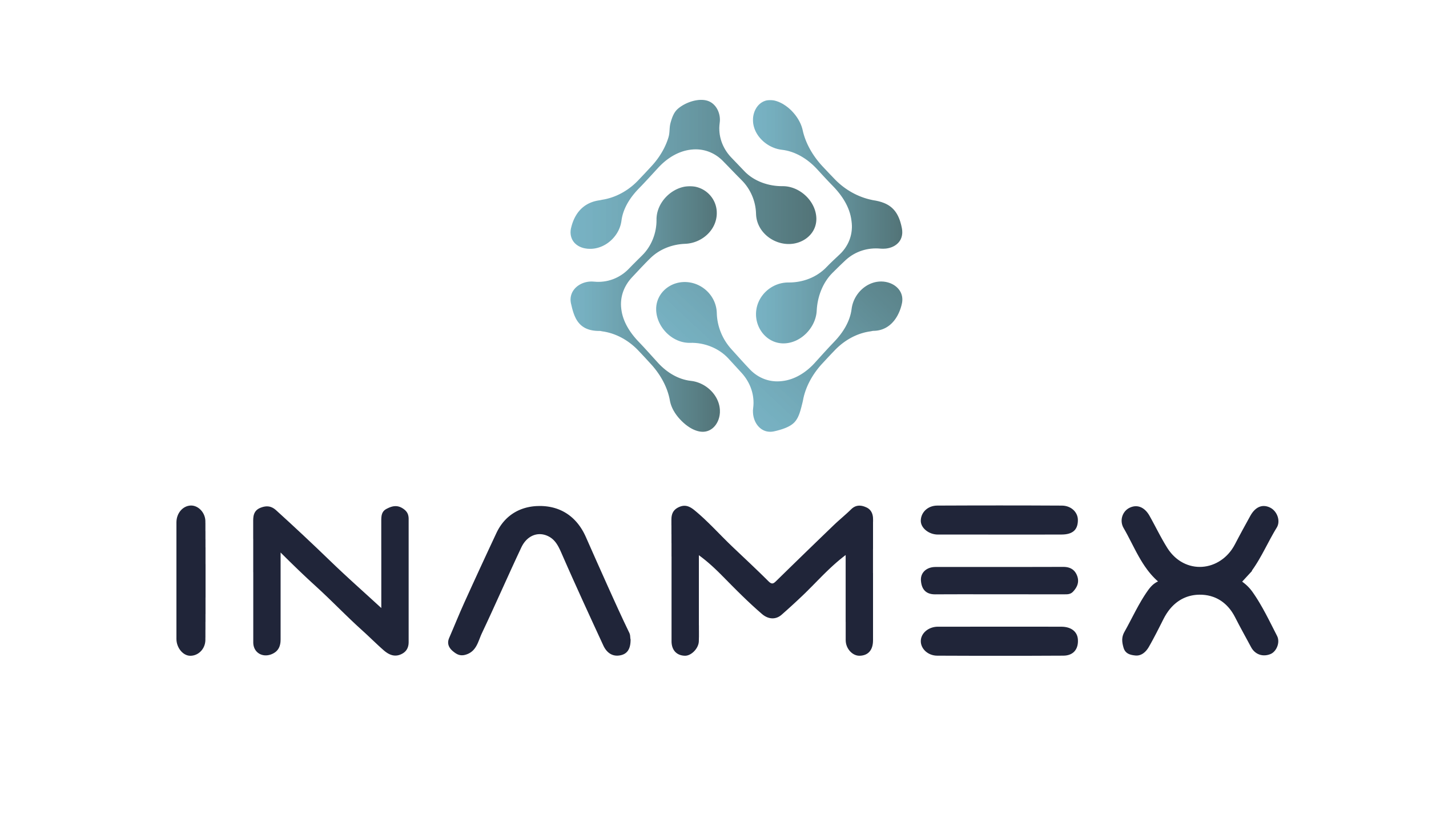 INAMEX — Innovación Aplicada